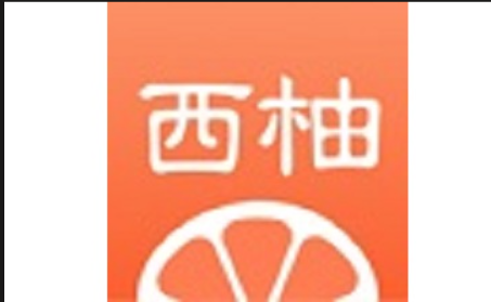 西柚VPN Logo